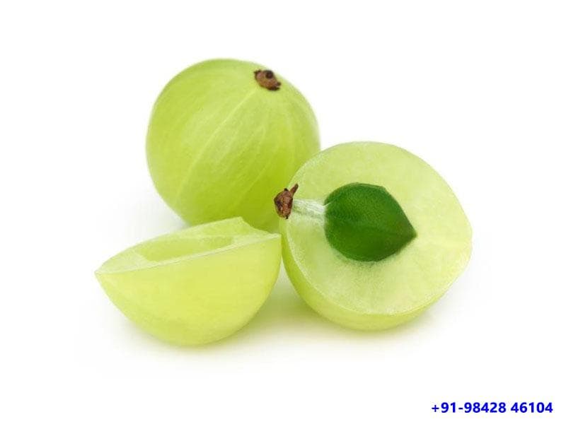 நெல்லிக்காய் உண்பதால்