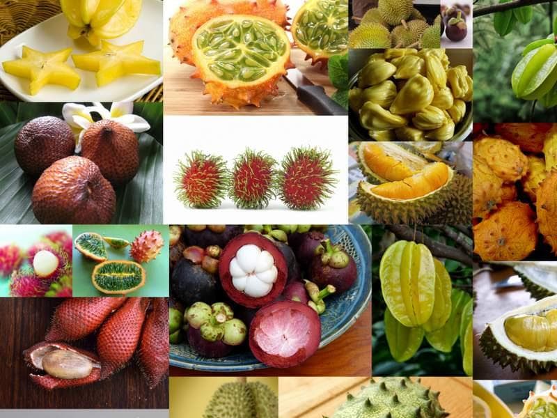 பழங்களின் பயன்கள்