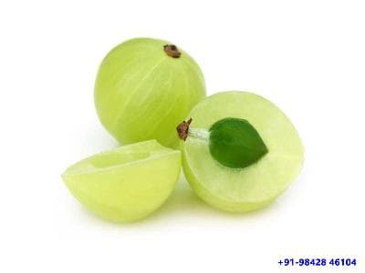 நெல்லிக்காய் உண்பதால்