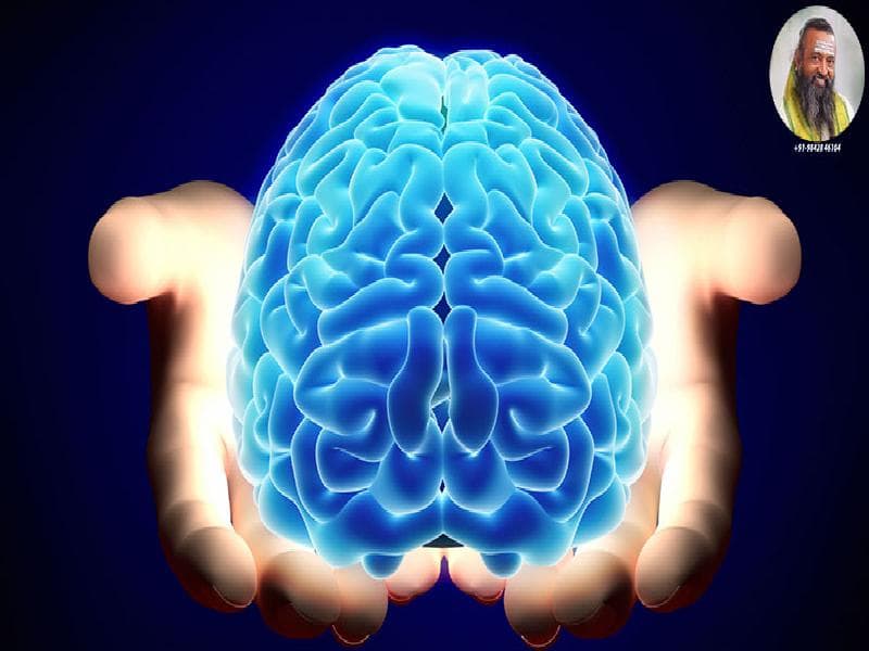 மூளையின் கூர்மை, சுறுசுறுப்பு, நினைவாற்றலுக்கு செய்ய வேண்டியவை!