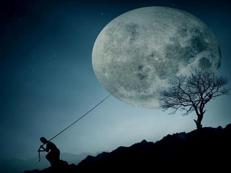 விடாமுயற்சி வெற்றி தரும்