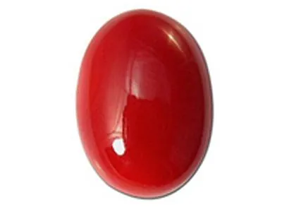 விருச்சிகம் – பவளம்