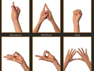 முத்திரைகளை பயிலும் முறை in அகத்தியர் ஜெனா சித்தர் | astrology